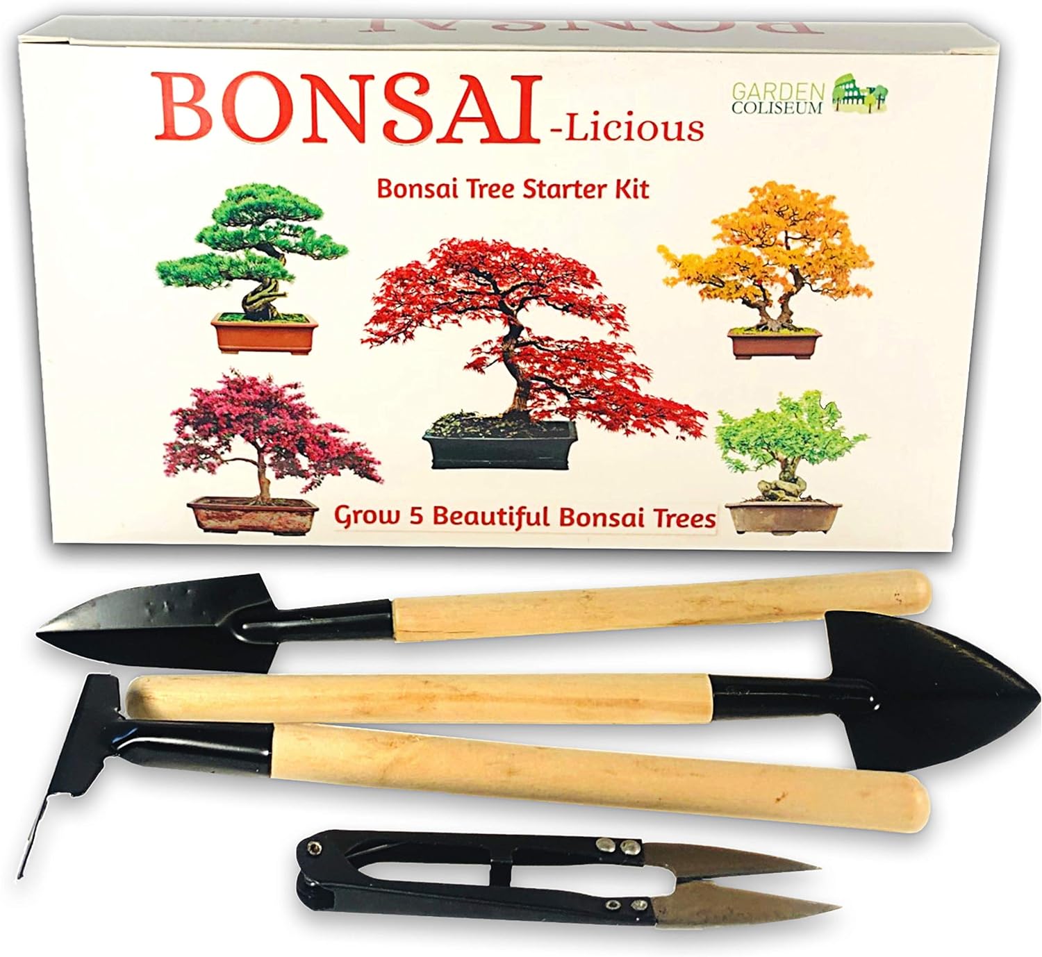 Limited-Time Specials! Bonsai Tree Kit - Grow Your...