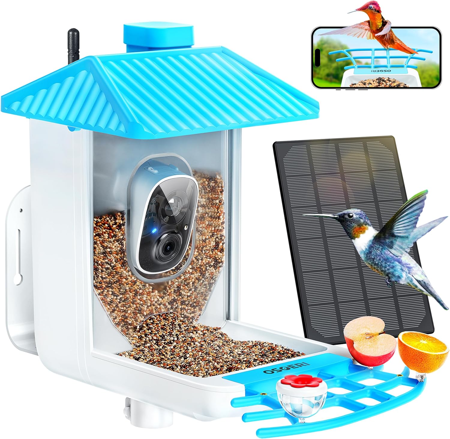 Snag Your Exclusive 1080P HD Bird Watching Camera - Limited-Time Discount!