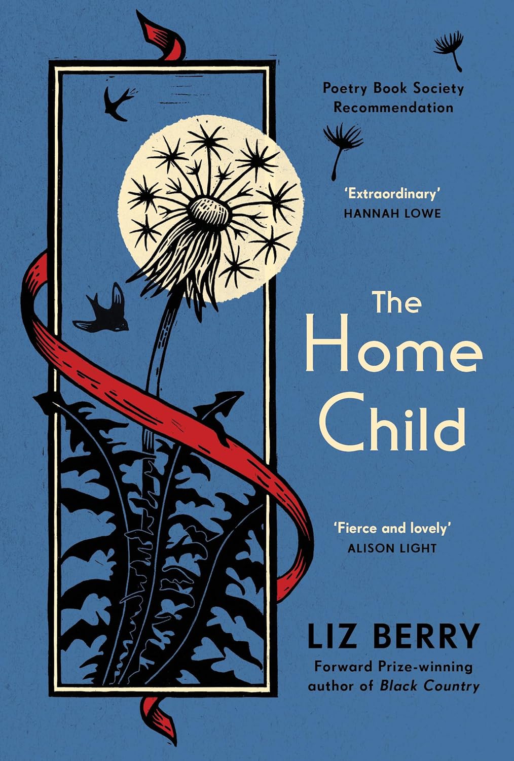 Flash Deal in Progress! Unlock Your Savings on The Home Child by the Forward Prize-winning author of Black Country