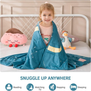 Mr. Sandman Weighted Blanket 3 Pounds Washable, Be...