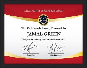 Icona Bay 8.5x11 Black Certificate Frame, Modern S...