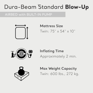 Intex Dura-Beam Standard Pillow Rest Classic Air M...