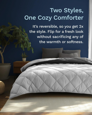 ViscoSoft All Seasons Twin/Twin XL Down Alternativ...