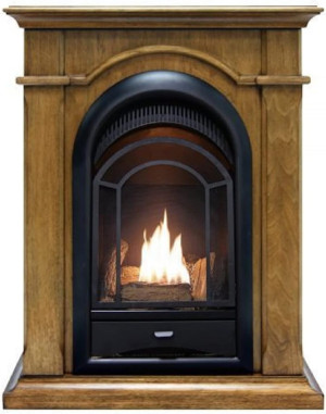 ProCom Dual Fuel Ventless Gas Fireplace System wit...