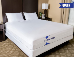 Four Seasons Essentials Queen Mattress Protector -...