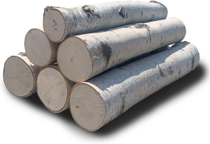 Wilson Decorative White Birch Logs, Natural Bark W...