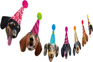 Dachshund Birthday Garland, Funny Wiener Dog Bday...