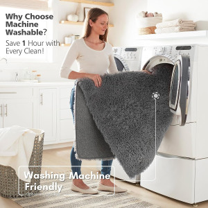 Ophanie Machine Washable Upgrade 4x6 Rugs for Bedr...