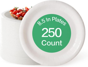 8.5 Inch Paper Plates, Dinner Size Plates, Everyda...