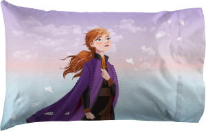 Jay Franco Disney Frozen Sisters 1 Single Reversib...