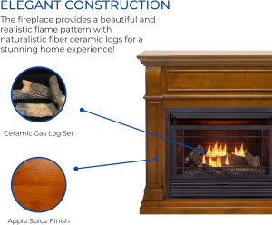 Duluth Forge Dual Fuel Ventless Gas Fireplace Syst...