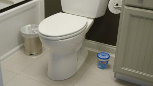 DampRid Refillable Moisture Absorber, Fragrance Fr...