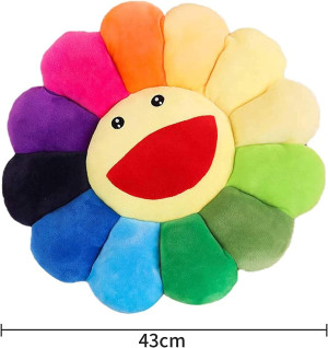 Smile Face Plush Rainbow Pillow, Sunflower Indie D...