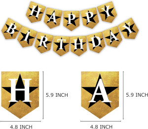 Hamilton Inspired Birthday Banner, the Famous Musi...