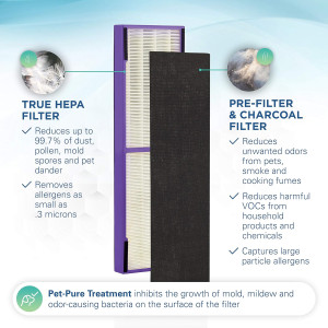 Germ Guardian FLT4850PT True HEPA Genuine Air Puri...