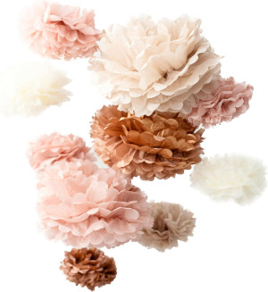 Vidal Crafts 20 Pcs Party Tissue Paper Pom Poms Se...