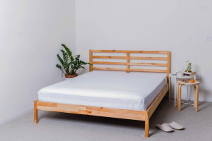 HOSPITOLOGY PRODUCTS Mattress Encasement - Zippere...