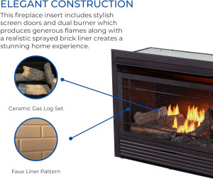 Duluth Forge Dual Fuel Ventless Insert-26,000 BTU,...