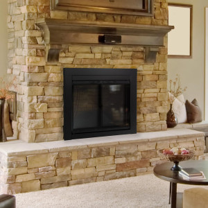 Pleasant Hearth AN-1010 Alpine Fireplace Glass Doo...