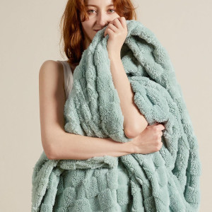 Bedsure Sage Green Fleece Blanket for Couch - Chec...