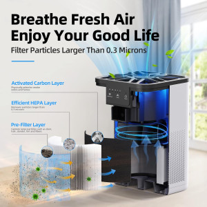 AROEVE Air Purifiers for Bedroom HEPA Air Purifier...