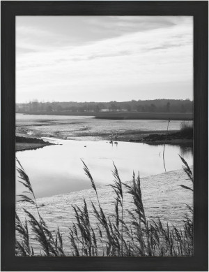 MCS Museum Poster Frame 18x24 Onyx Woodgrain, Vert...