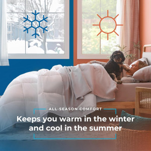 Edredón Acolchado con Plumón Alternativo para Cual...