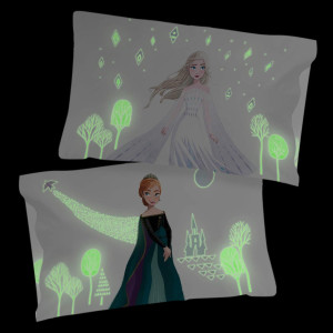 Jay franco Disney Frozen Spirit of Adventure Glow...