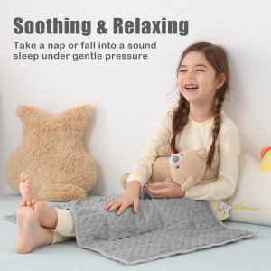 Sivio Weighted Lap Blanket, Minky Dots Weighted Bl...