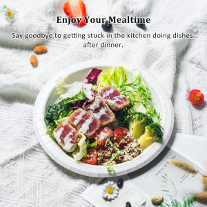 8.5 Inch Paper Plates, Dinner Size Plates, Everyda...