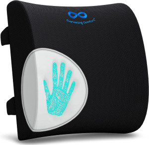 Everlasting Comfort The Original Lumbar Support Pi...