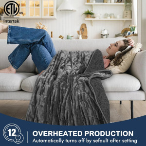 DAILYLIFE Heated Weighted Blanket, Electric Blanke...