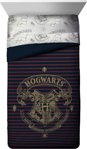 Jay Franco Harry Potter Spellbound Bed Set, Twin