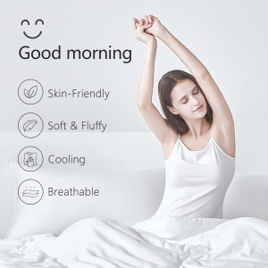 TEXARTIST Premium 2100 Series Queen Comforter All...