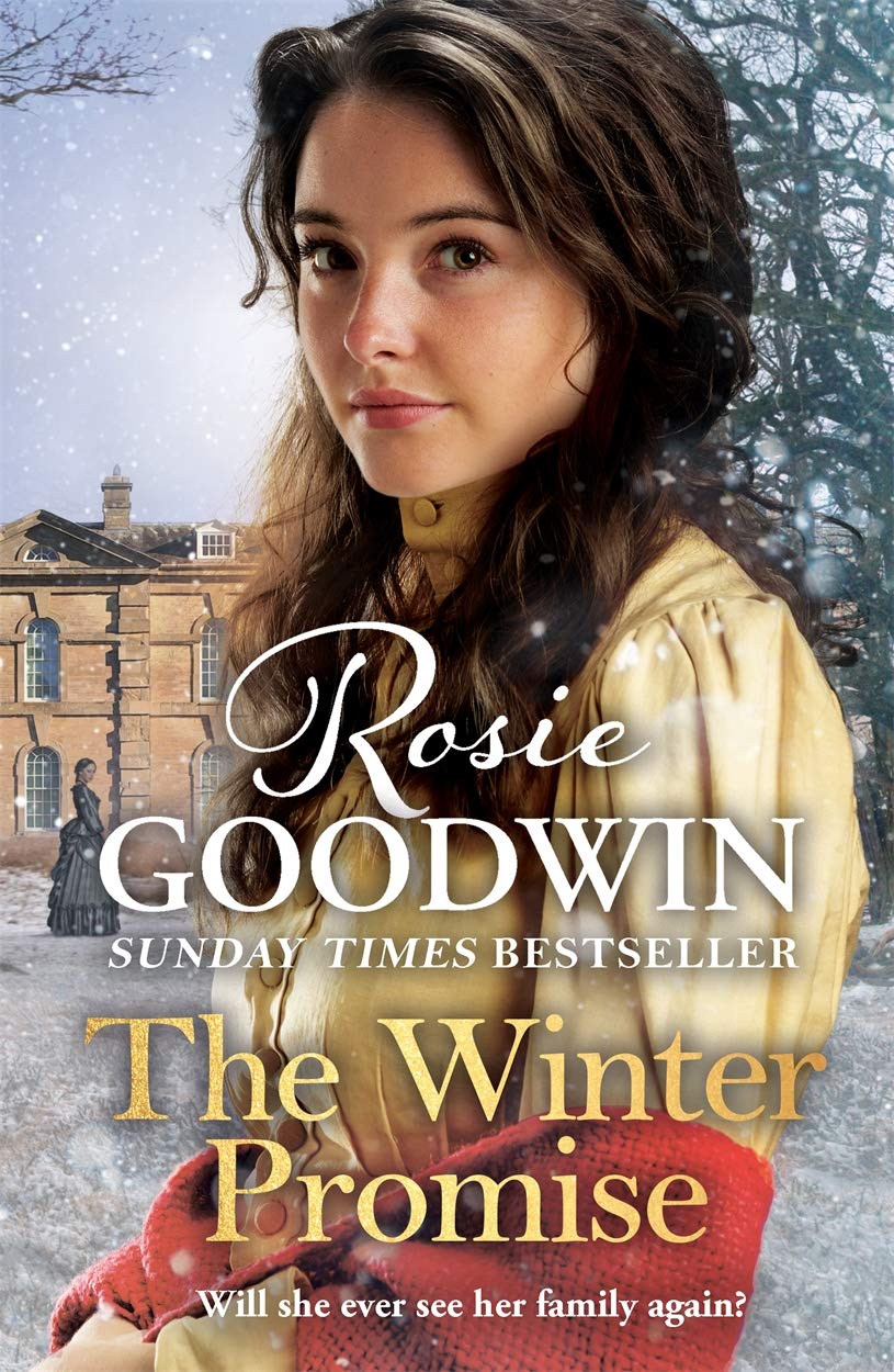 The Winter Promise: A perfect cosy Victorian saga...