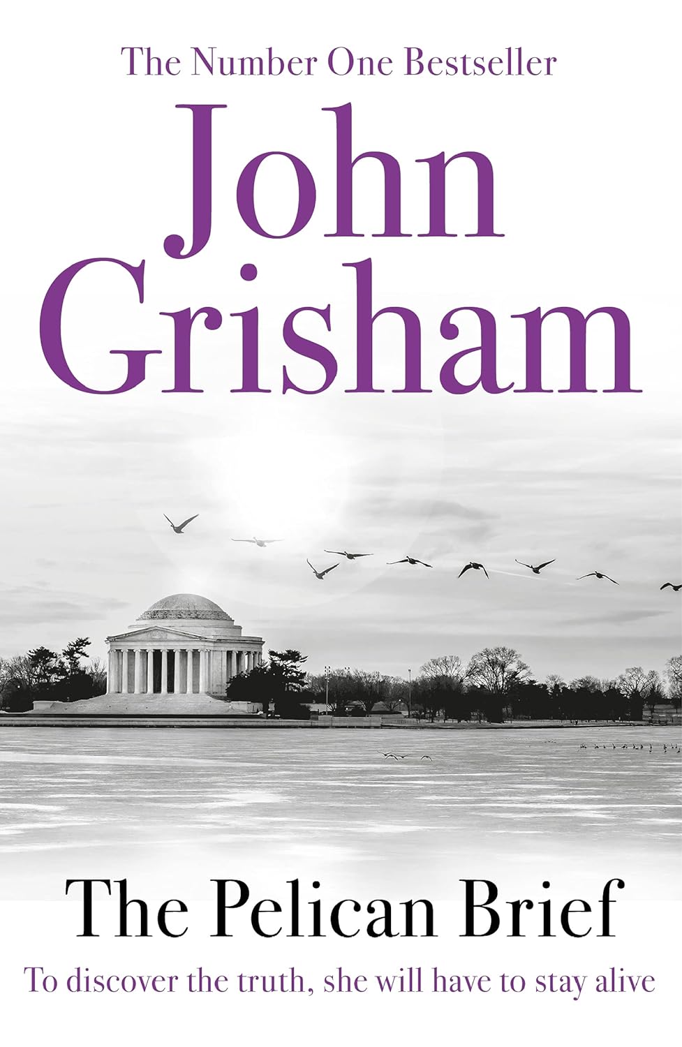 The Pelican Brief: A gripping crime thriller from the Sunday Times bestselling a...
