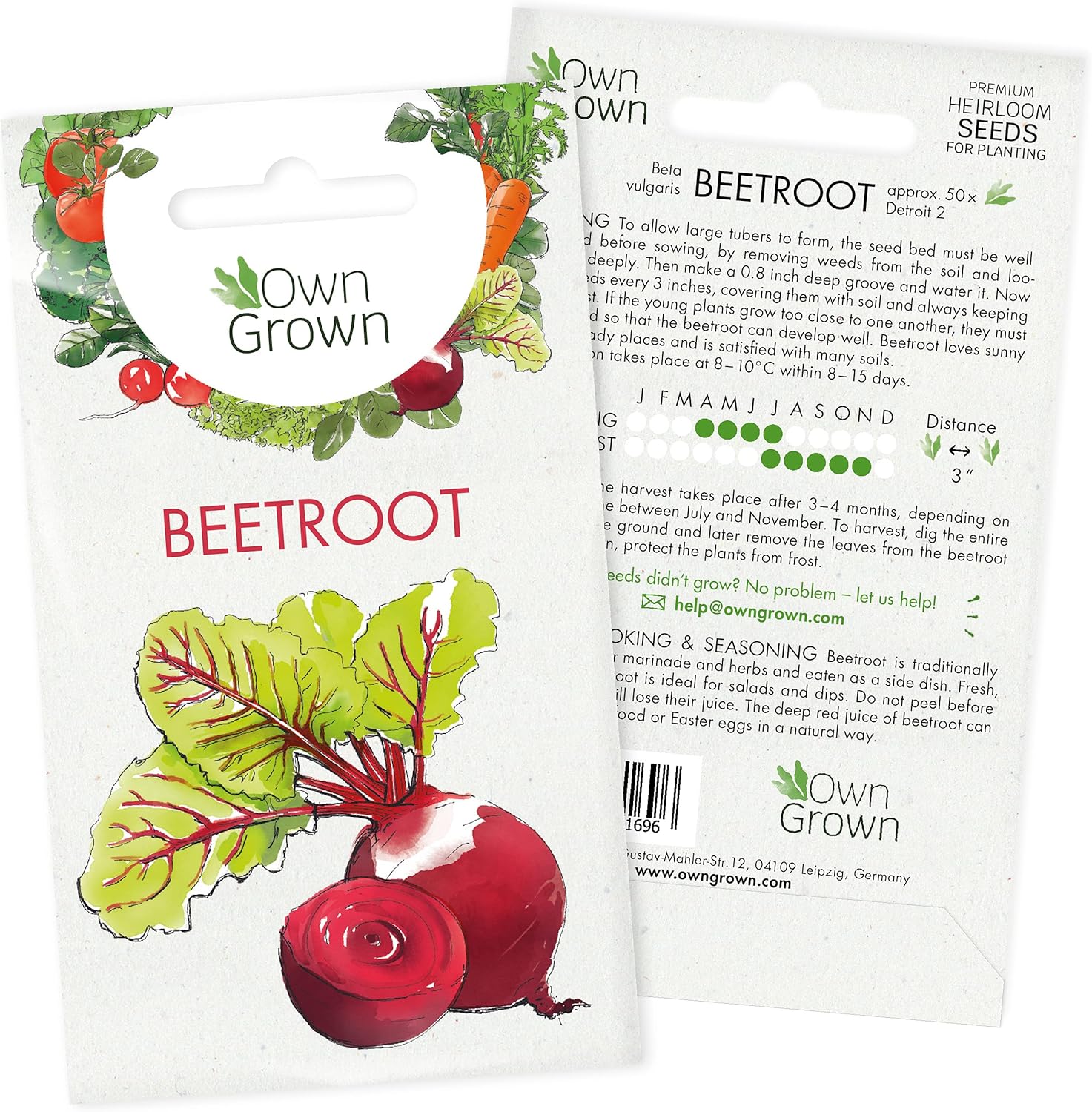 Beetroot Seeds (Beta vulgaris): Beetroot Vegetable Seed to Grow your own Vegetab...