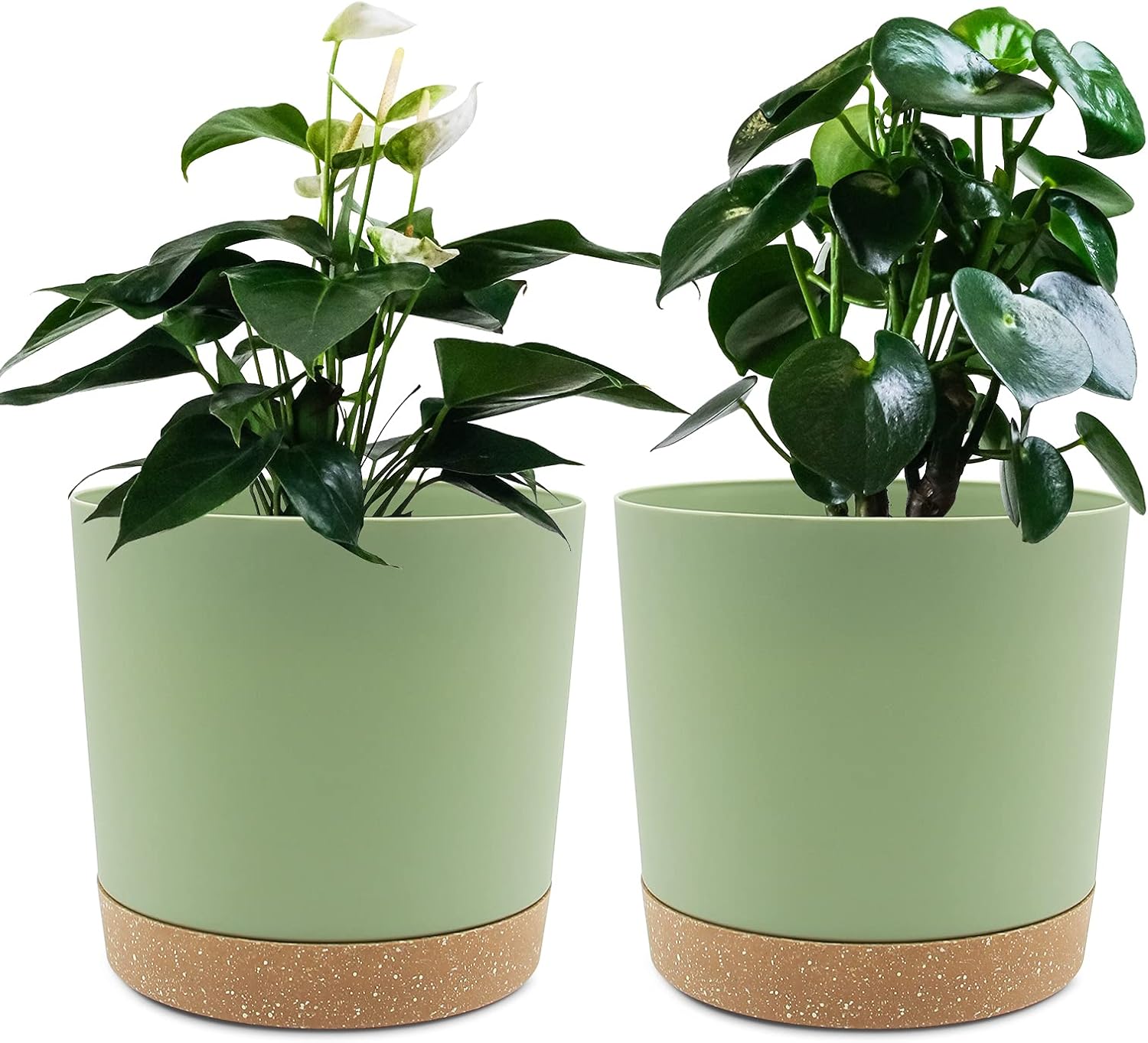 QCQHDU Plant Pots Set of 2 Pack 6.5 inch,Planters for Indoor Plants with Drainag...