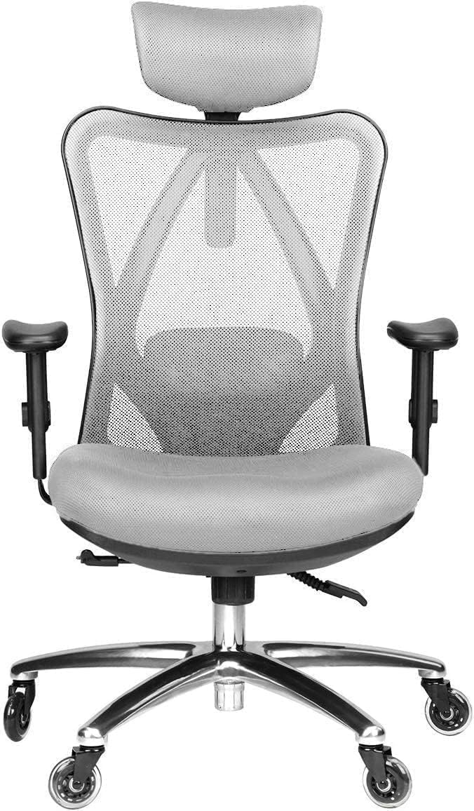 Duramont Ergonomic Office Chair with Adjustable Lumbar Support, High, Head and A...