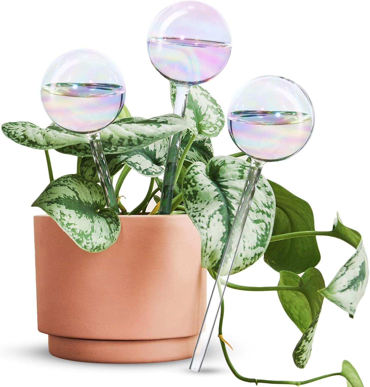 [3PCS] Light Iridescent Rainbow Gradient Color Clear Glass Self-Watering System...