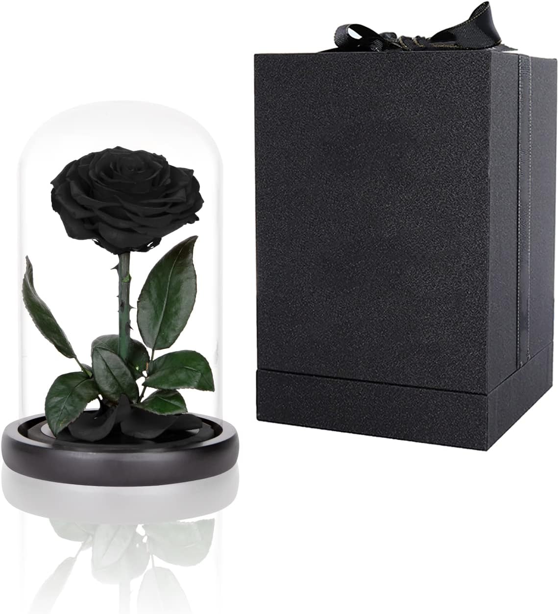 Preserved Roses Black Roses in Glass Dome, Medium, Real Rose That Last 2 to 3 Ye...