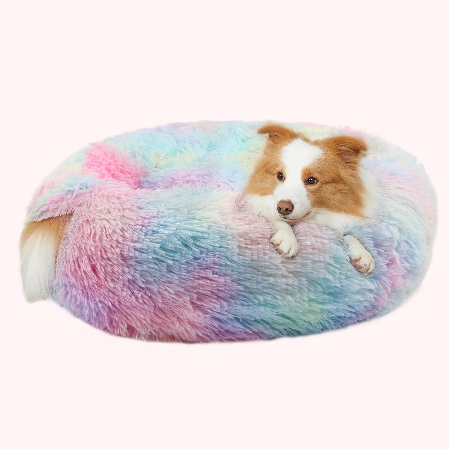 Dog Beds for Small Dogs, Donut Dog Bed with Blanket Attached, Calming Dog Bed Wa...