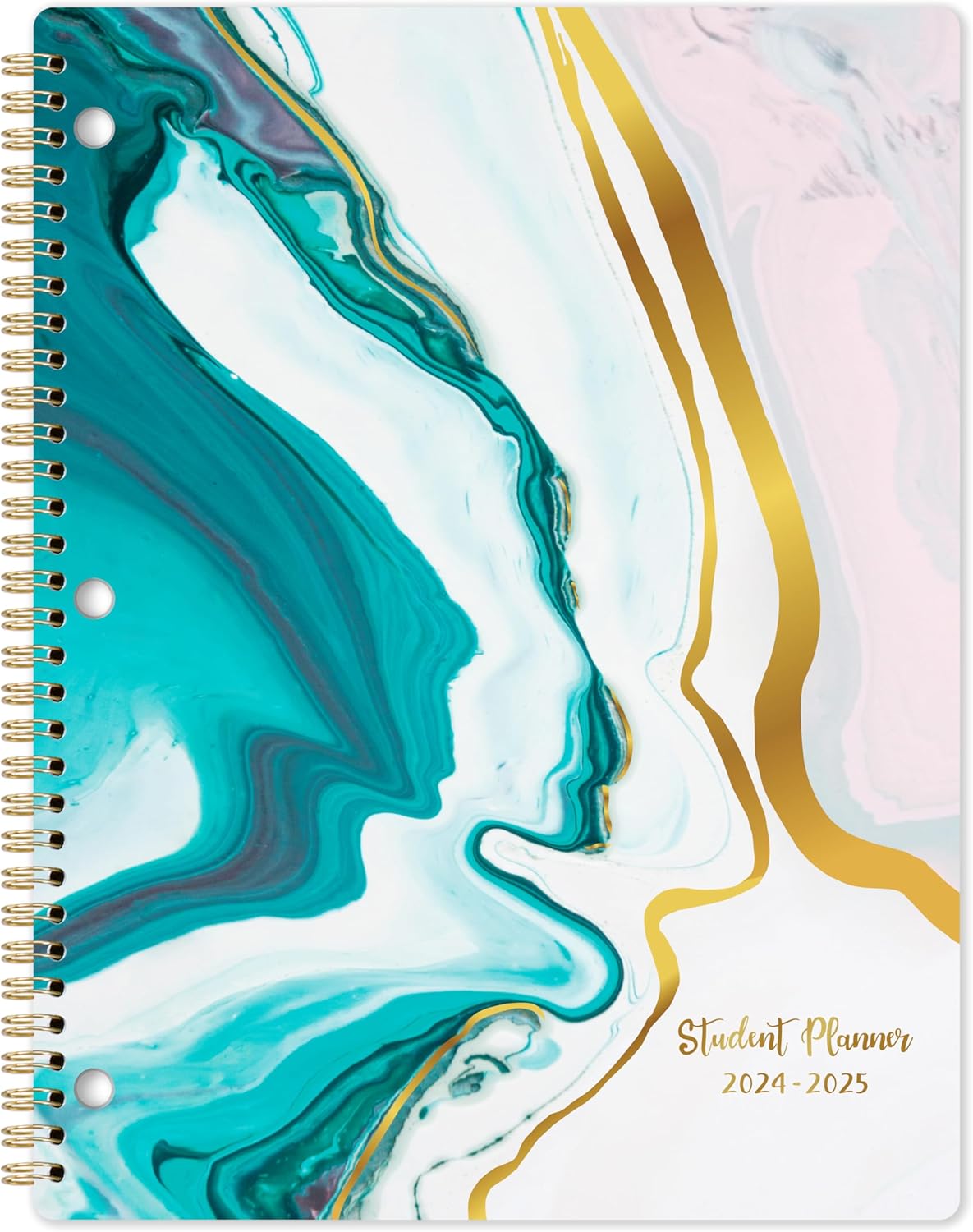 Best School Planner, High-Quality Student Planner 2024-2025 for Academic Success...