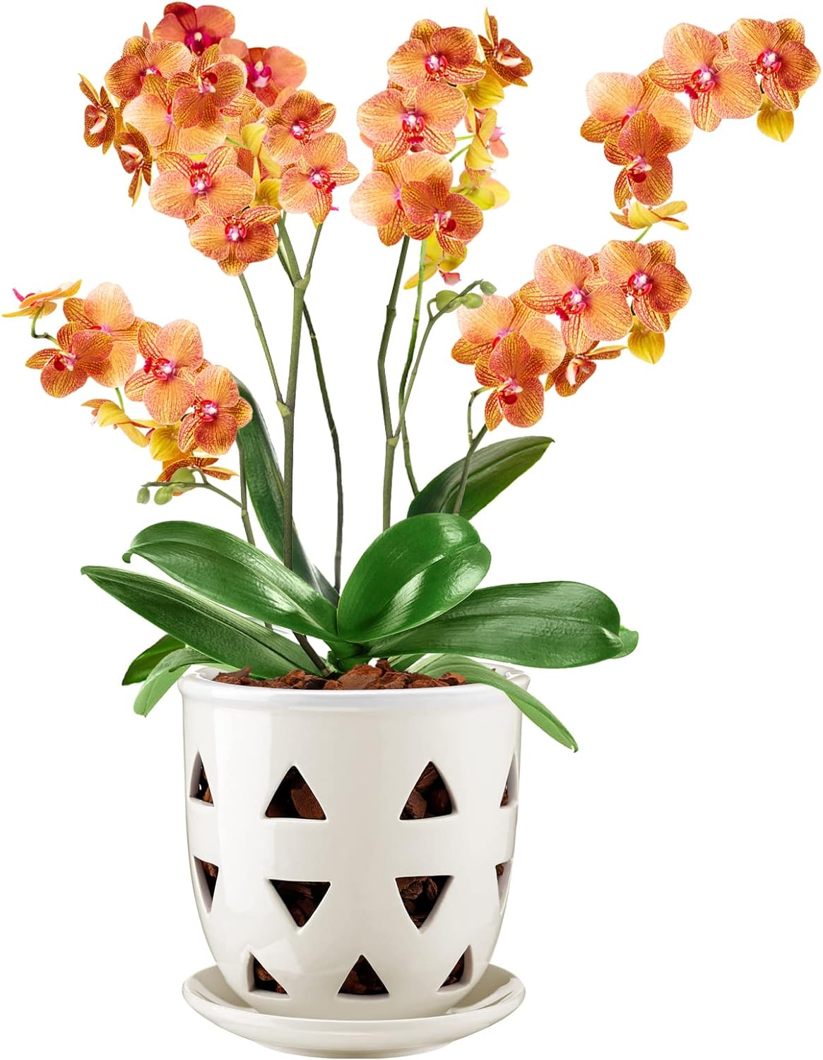 Best Aulock 6 Inch Ceramic Orchid Pot, Special Decorative Triangle Ceramic Hollo...