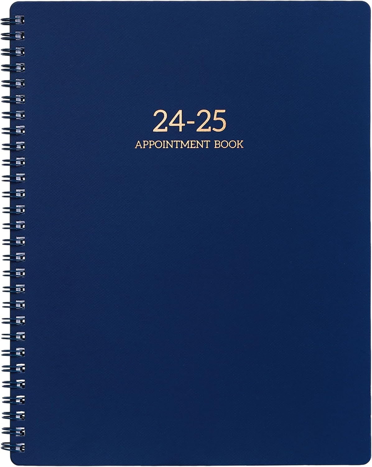 Best Appointment Book 2024-2025, Special Daily Planner 2024-2025, Effective Dail...