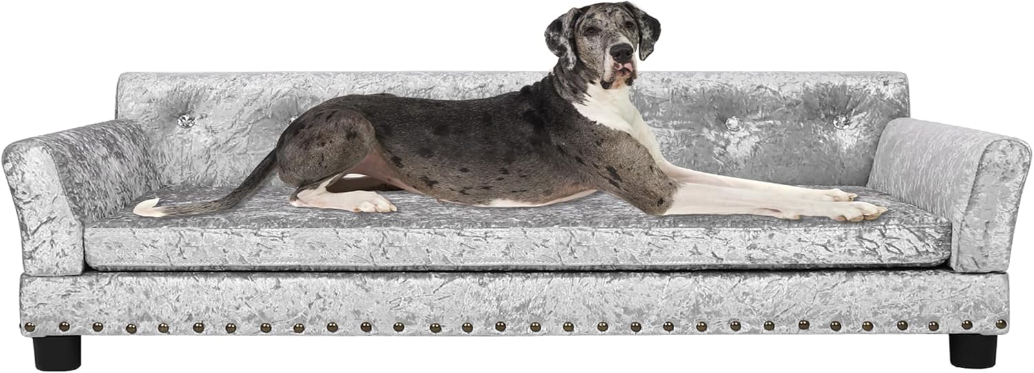 Best BingoPaw Large Dog Sofa Couch, Luxury Velvet Upholstered Pet Sofa Lounge Be...