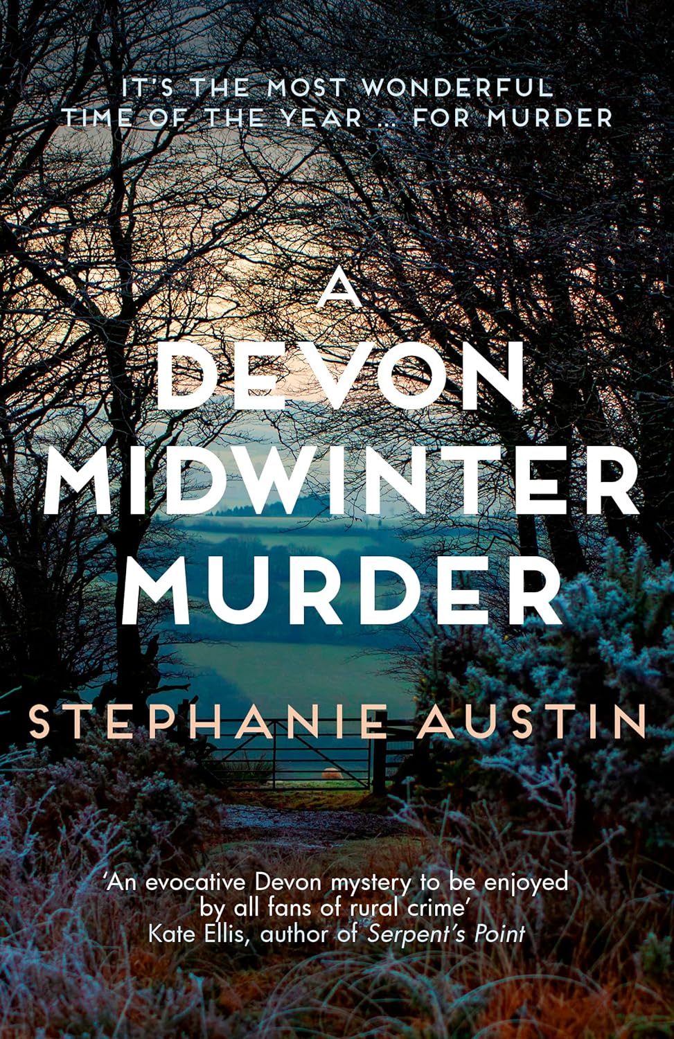 Best A Devon Midwinter Murder, Must-Read Cosy Crime Book Series, Special Devon M...