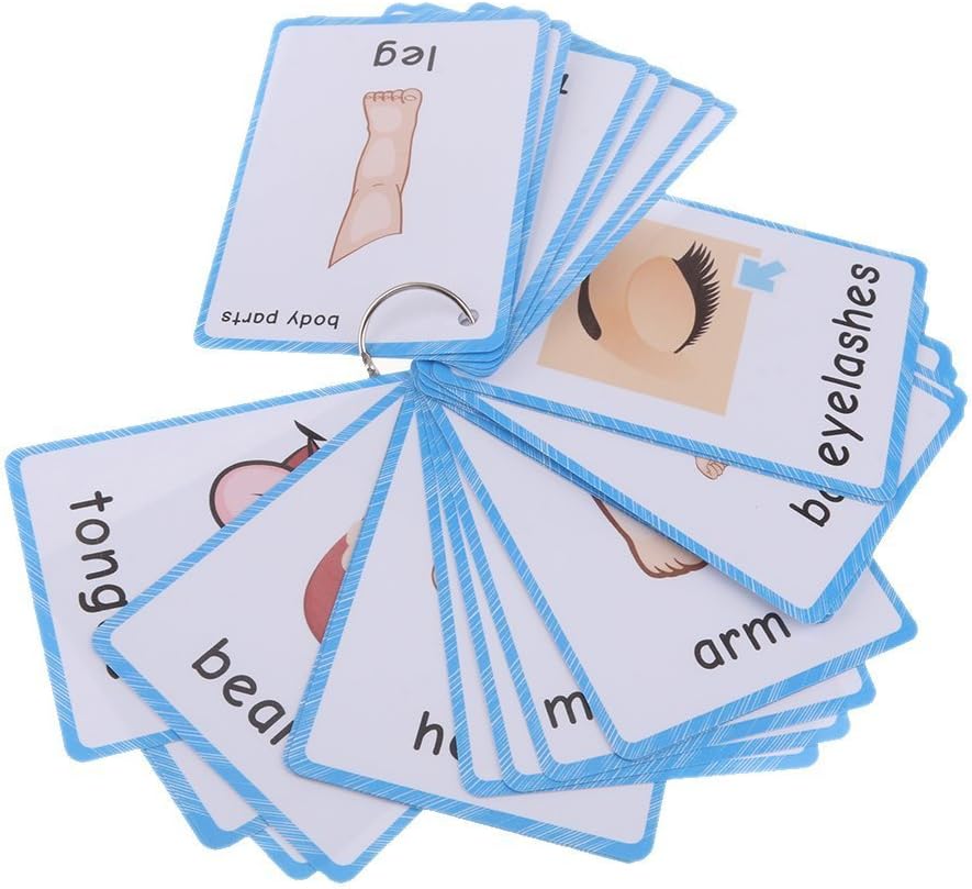 Best HONTOUSIP 36 Pcs Body Parts Flash Cards, Special Educational Learning Toys...