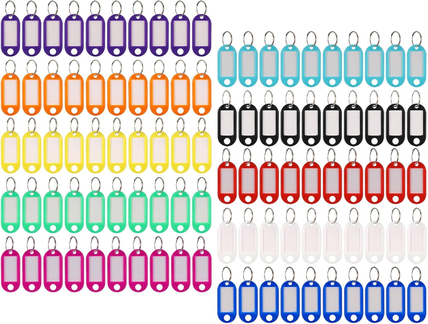 Unique JIANTA 100 Pack Key Tags with Labels, Special Plastic Key Rings with Labe...