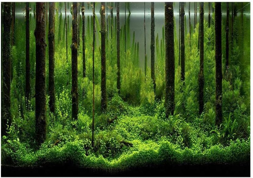 Best Hakeeta Forest Tank Aquarium, Special PVC Adhesive Underwater Forest Fish T...